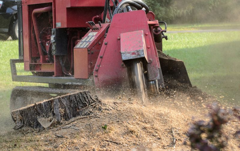 Commercial Stump Grinding in Prince Georges County, MD