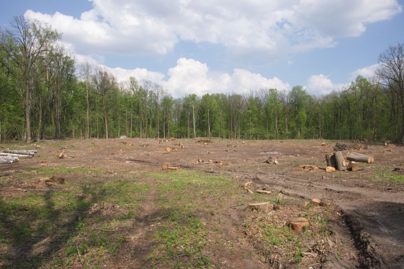 Pasture Clearing in Atlanta, GA