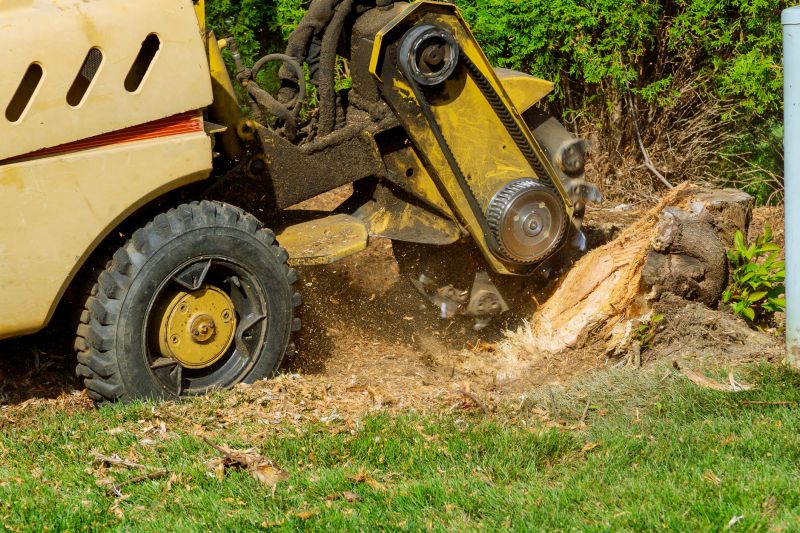 Tree Grinding