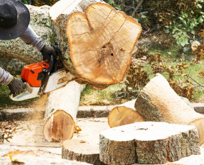 Commercial Tree Removal in Pottstown, PA