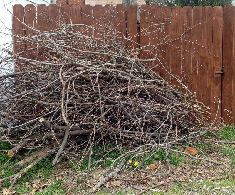 Dead Branch Removal in Reno, NV