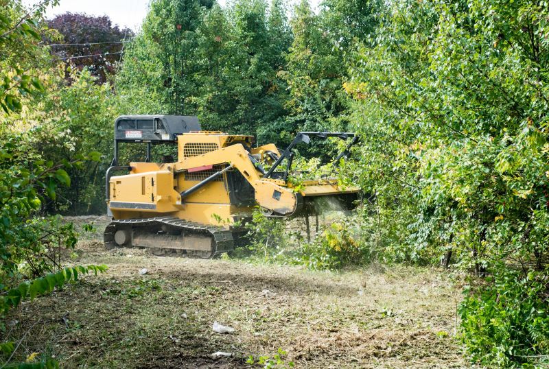 Easement Land Clearing in Atlanta, GA