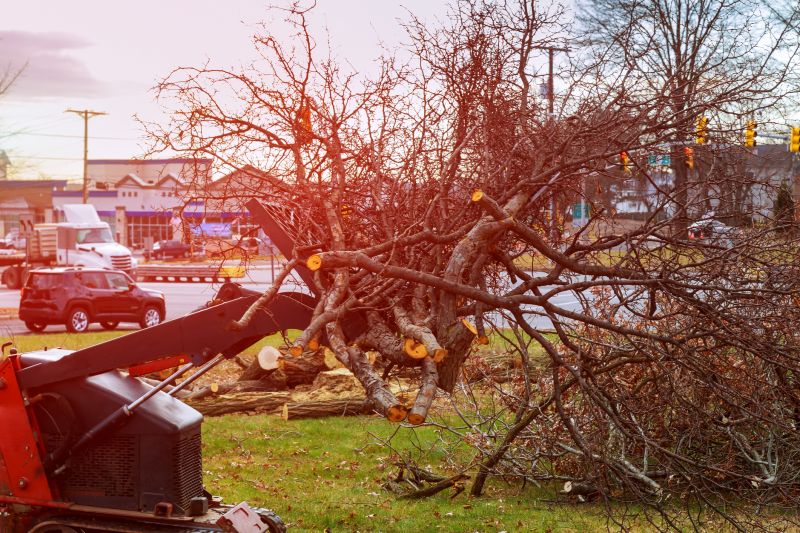 Land Clearing in Atlanta, GA