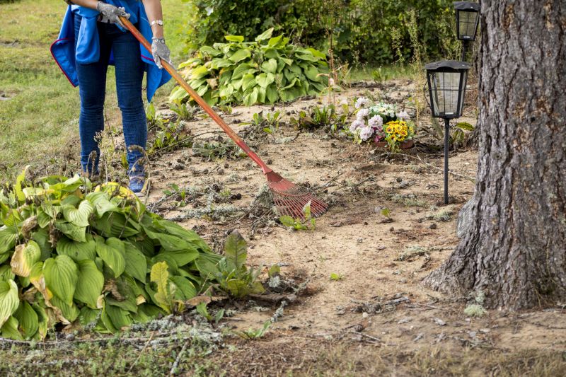 Land Preparation Service in Katy, TX