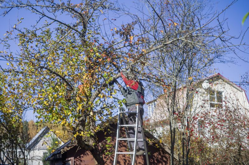 Residential Tree Service in Pottstown, PA