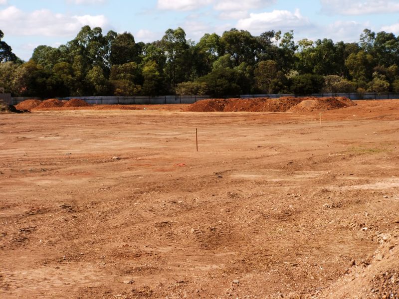 Site Clearing Service in Houston, TX