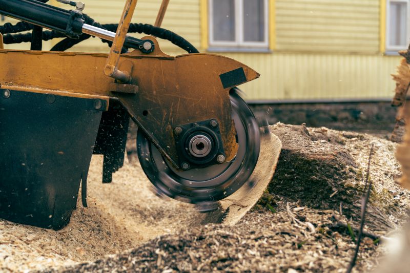 Stump Cutting in Prince Georges County, MD