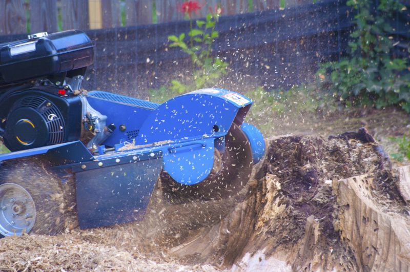 Tree Grinding Costs — Cost of Tree Grinding