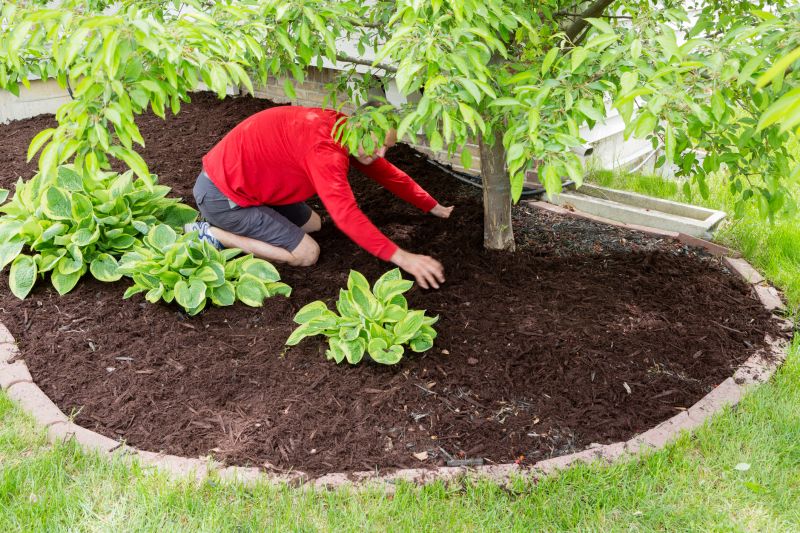 Mulch in Landscaping