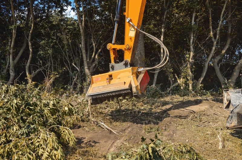 Undergrowth Removal in Atlanta, GA