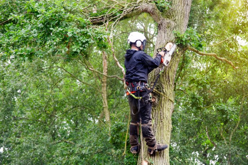 Local Arborists