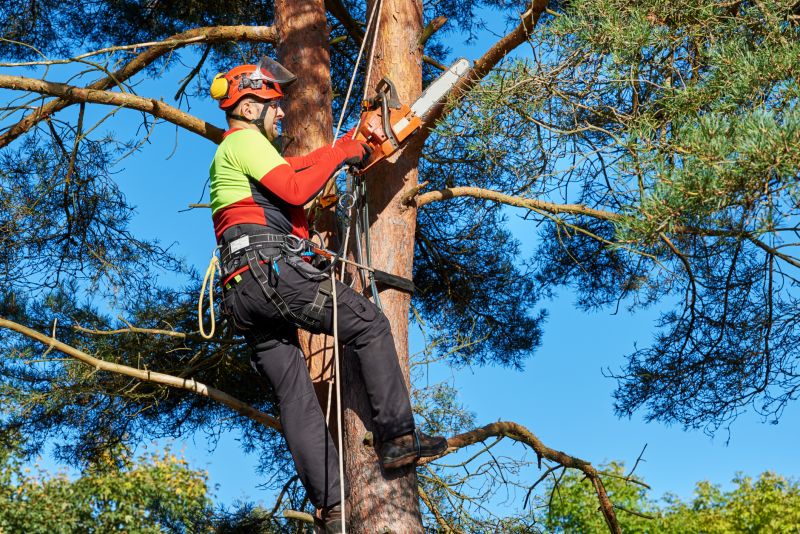 Independent Tree Contractors