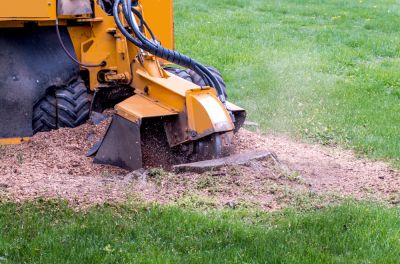 Improve Safety by Reducing Tripping Hazards and Challenges to Your Lawn Mower!